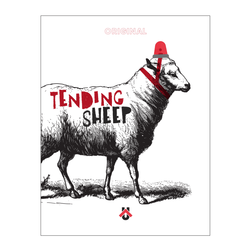 tending-sheep-uncommen